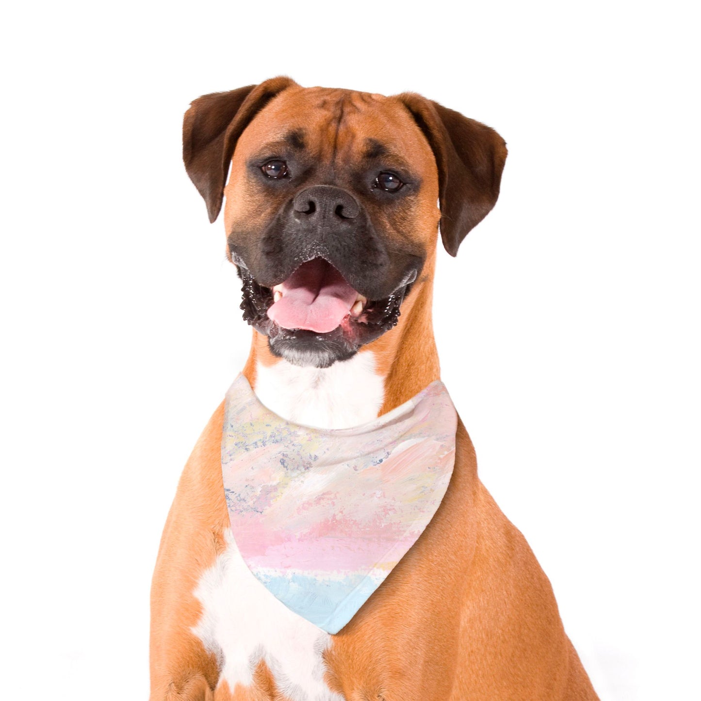 Furry Love (Pet) Bandana
